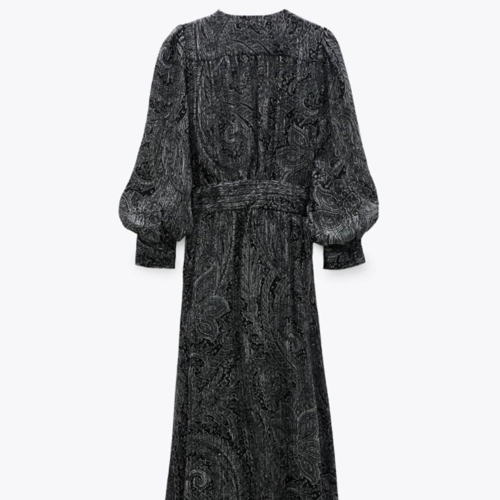 Zara Limited Edition Long Printed Dress - Picture 8 of 13
